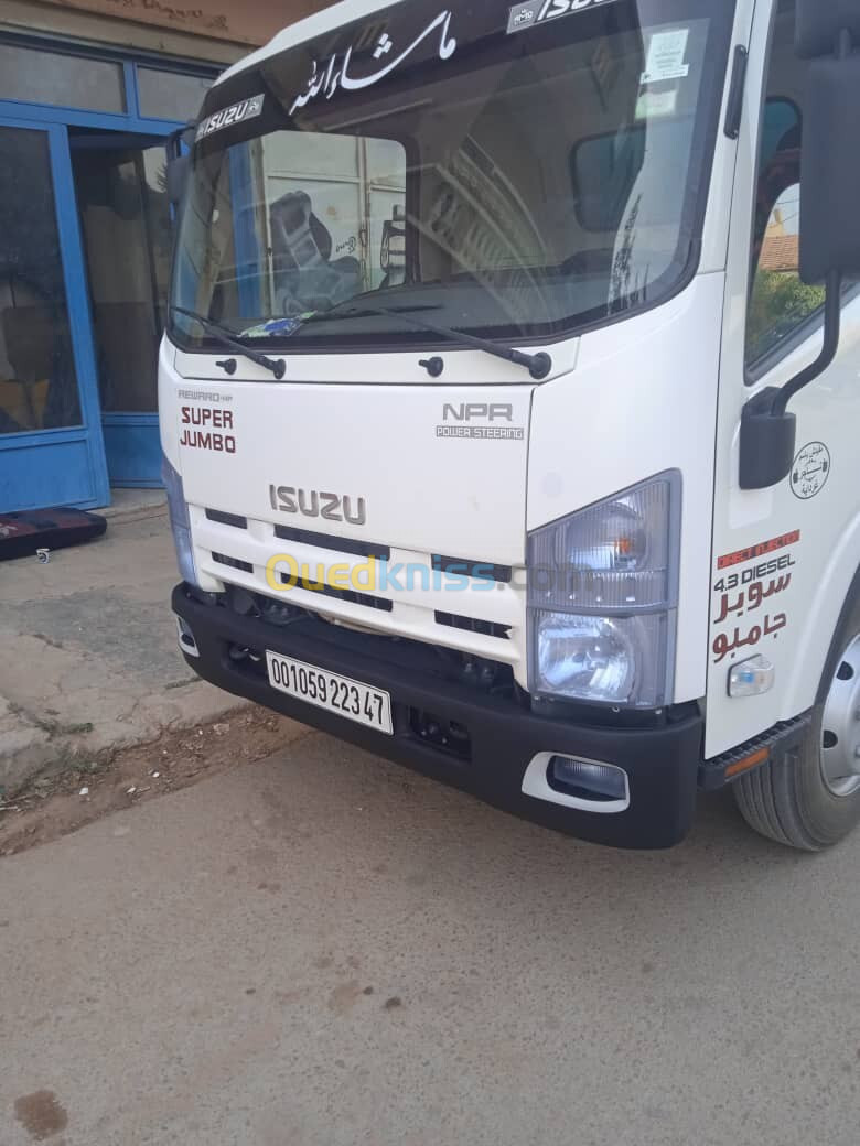 Isuzu NPR Isuzu super jumbo 2023