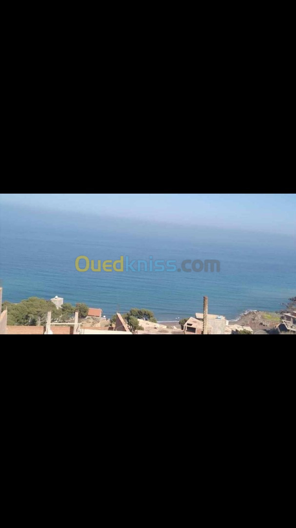 Vente Terrain Tipaza Larhat