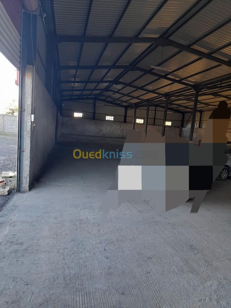 Location Hangar Tizi Ouzou Tizi nthlata