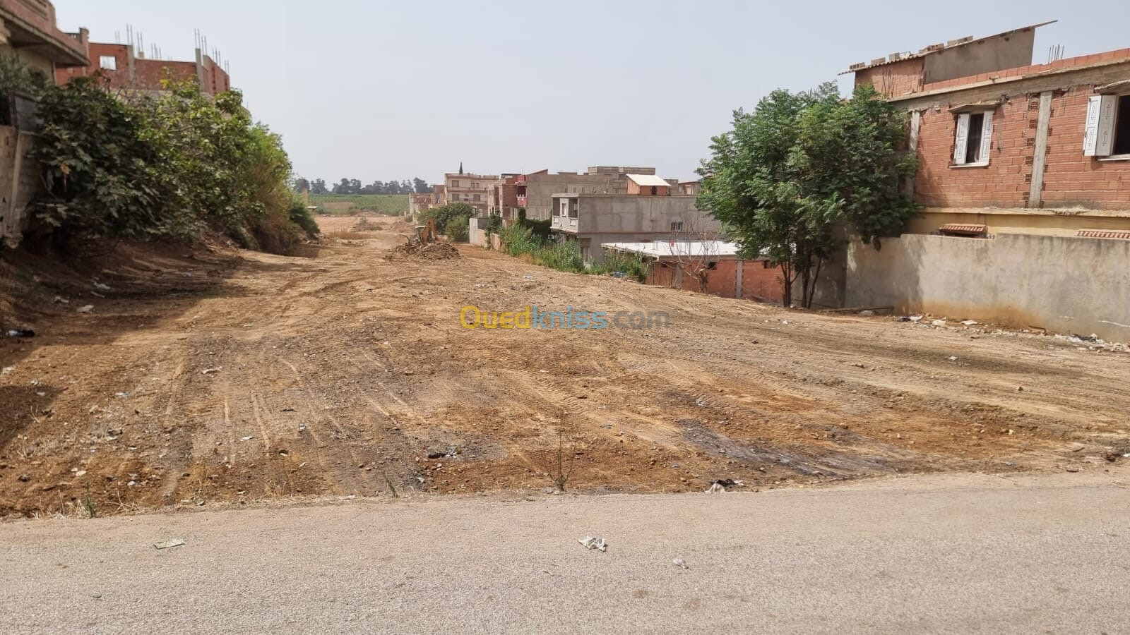 Vente Terrain Boumerdès Ouled hedadj