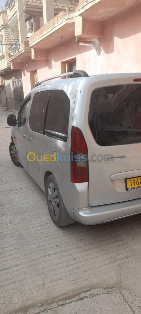 Citroen Berlingo 2008 Berlingo