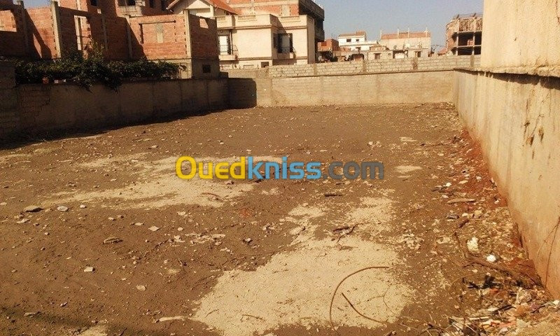 Vente Terrain Alger Bordj el kiffan