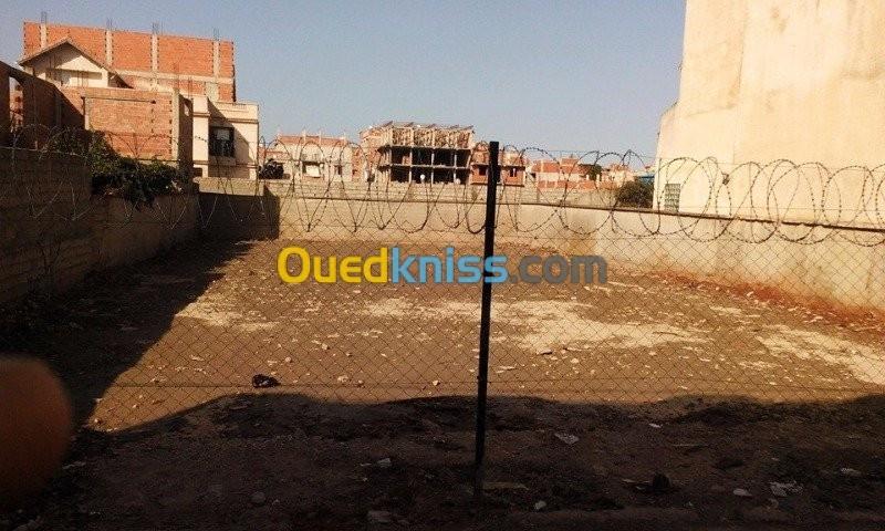 Vente Terrain Alger Bordj el kiffan