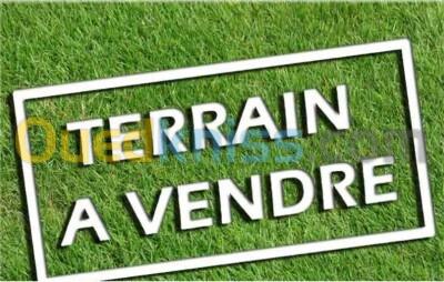 Vente Terrain Alger Mahelma