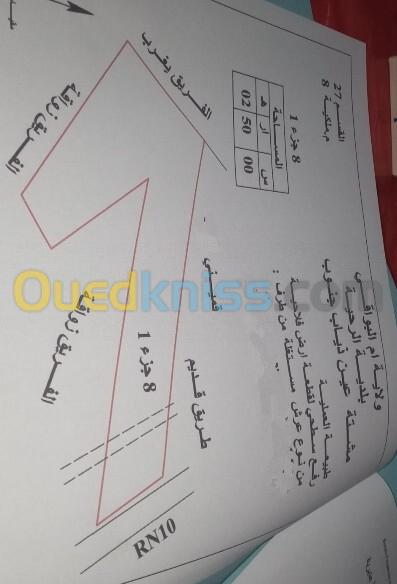 Vente Terrain Agricole Oum El Bouaghi Meskiana