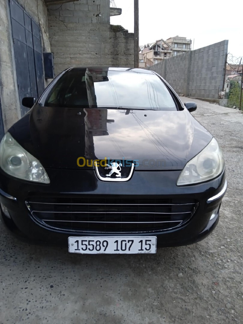 Peugeot 407 2007 407