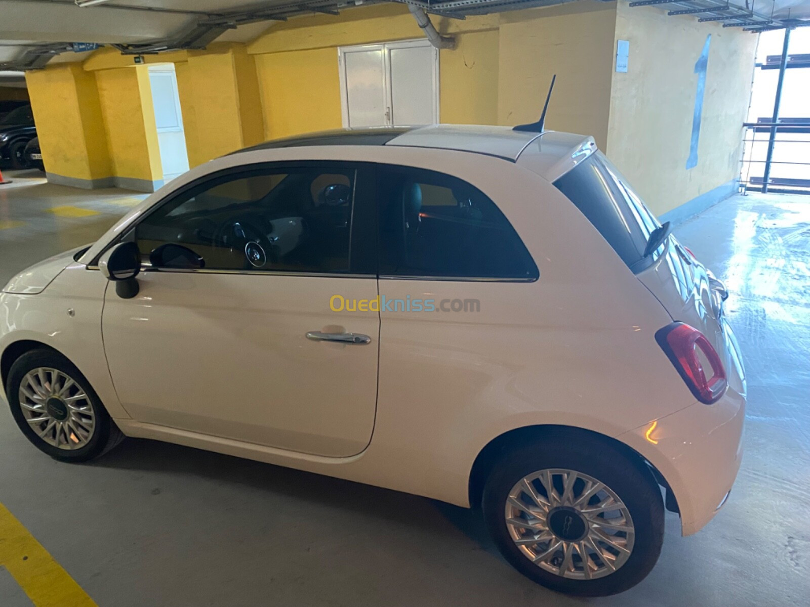 Fiat 500 2024 Club