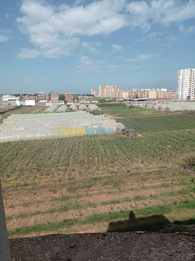 Vente Appartement F3 Tipaza Kolea