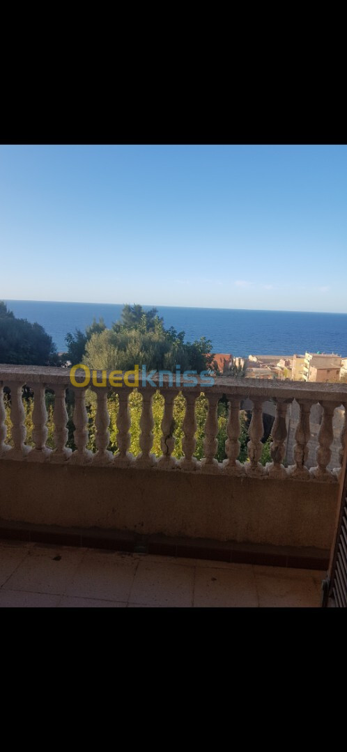 Location Appartement F1 Alger Ain benian