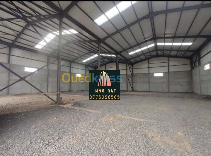 Location Hangar Alger Ouled chebel