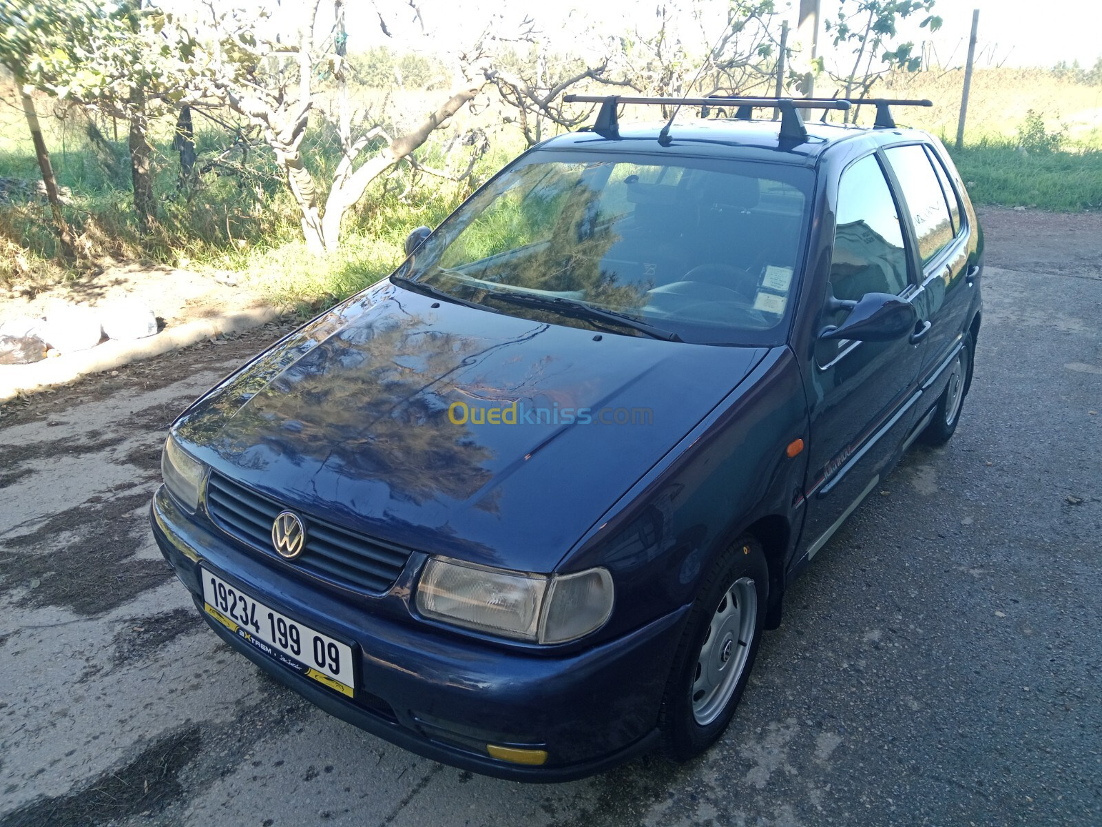 Volkswagen Polo 1999 Polo