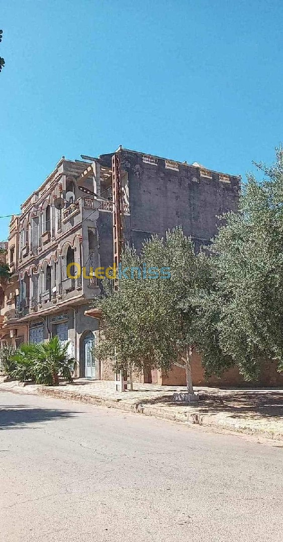 Vente Villa Aïn Témouchent Ain el arbaa