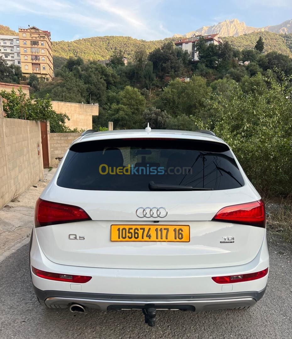 Audi Q5 2017 Off Road