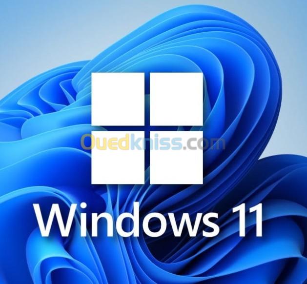 Windows 10 / 11 Professionnel