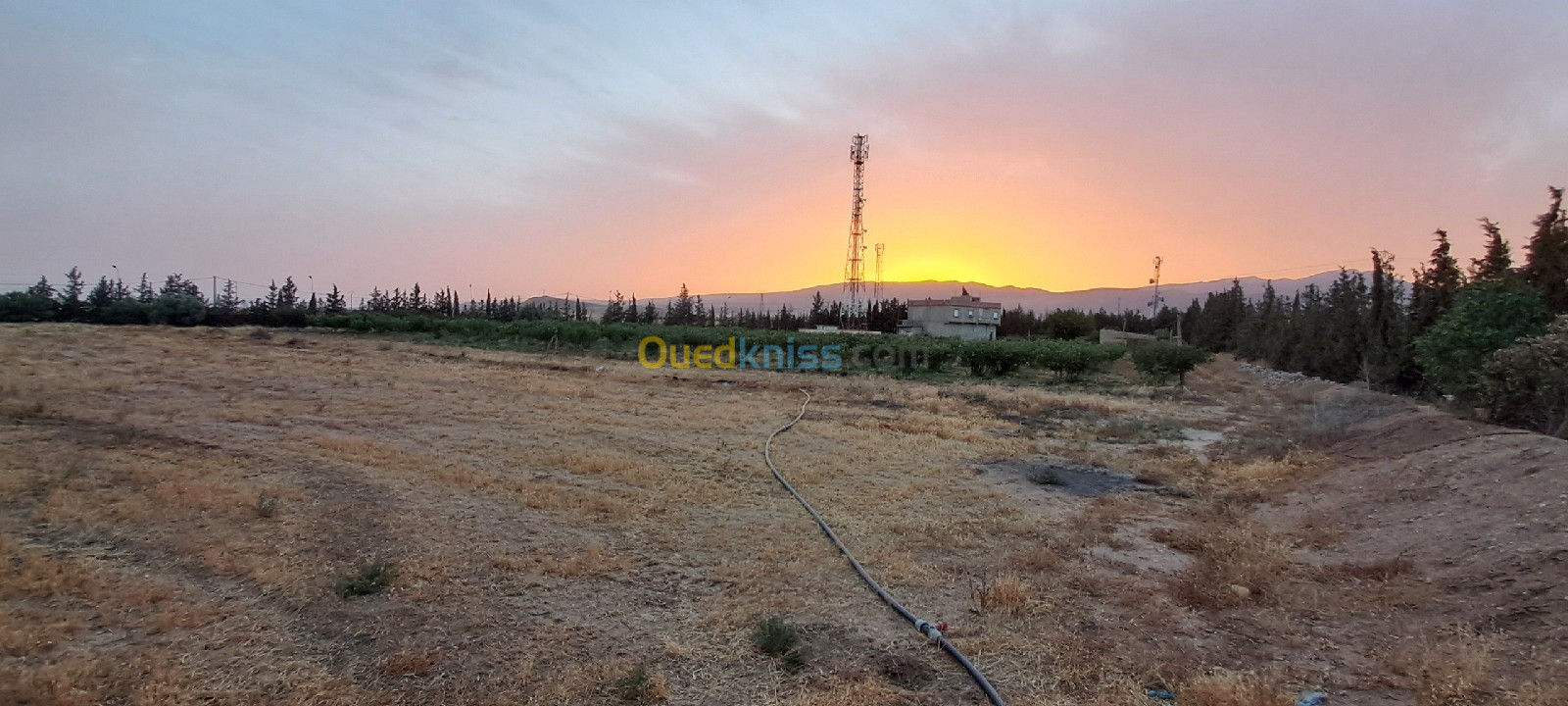 Vente Terrain Agricole Batna Oued chaaba