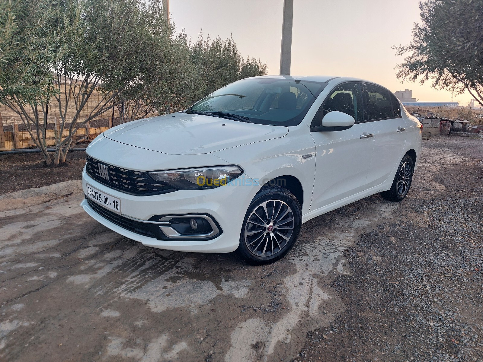 Fiat Tipo urban ++ 2024 Urban