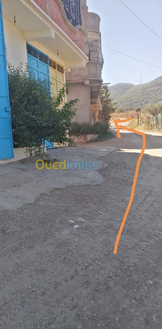 Vente Terrain Blida El affroun