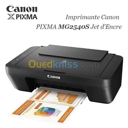 CANON PIXMA MG2541S - IMPRIMANTE A4 MULTIFONCTION - JET D'ENCRE - COLEURE - 4800 DPI - USB -