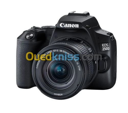 CANON EOS 250D STM Appareil Photo + Objectif EF-S 18-55mm f- 4-5.6 IS STM