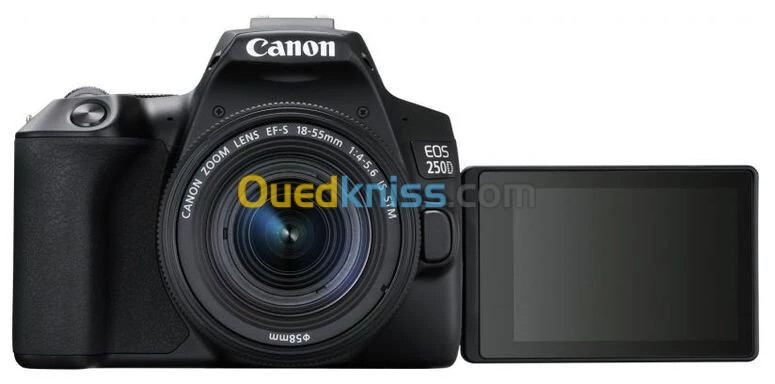 CANON EOS 250D STM Appareil Photo + Objectif EF-S 18-55mm f- 4-5.6 IS STM