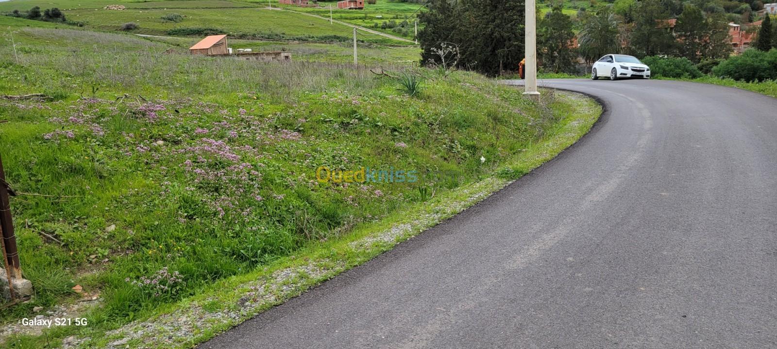 Vente Terrain Boumerdès Beni amrane