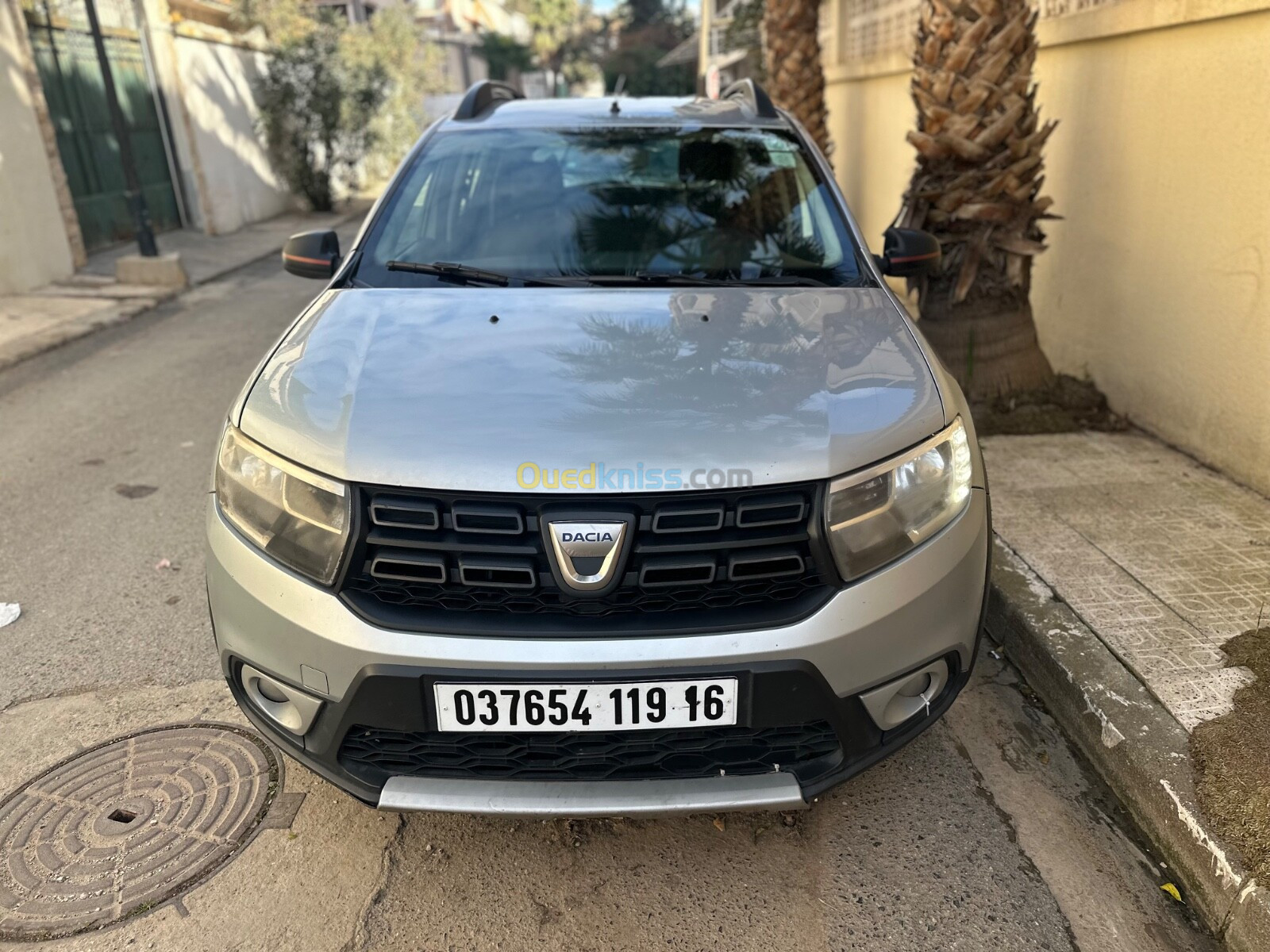 Dacia Sandero 2019 Techroad