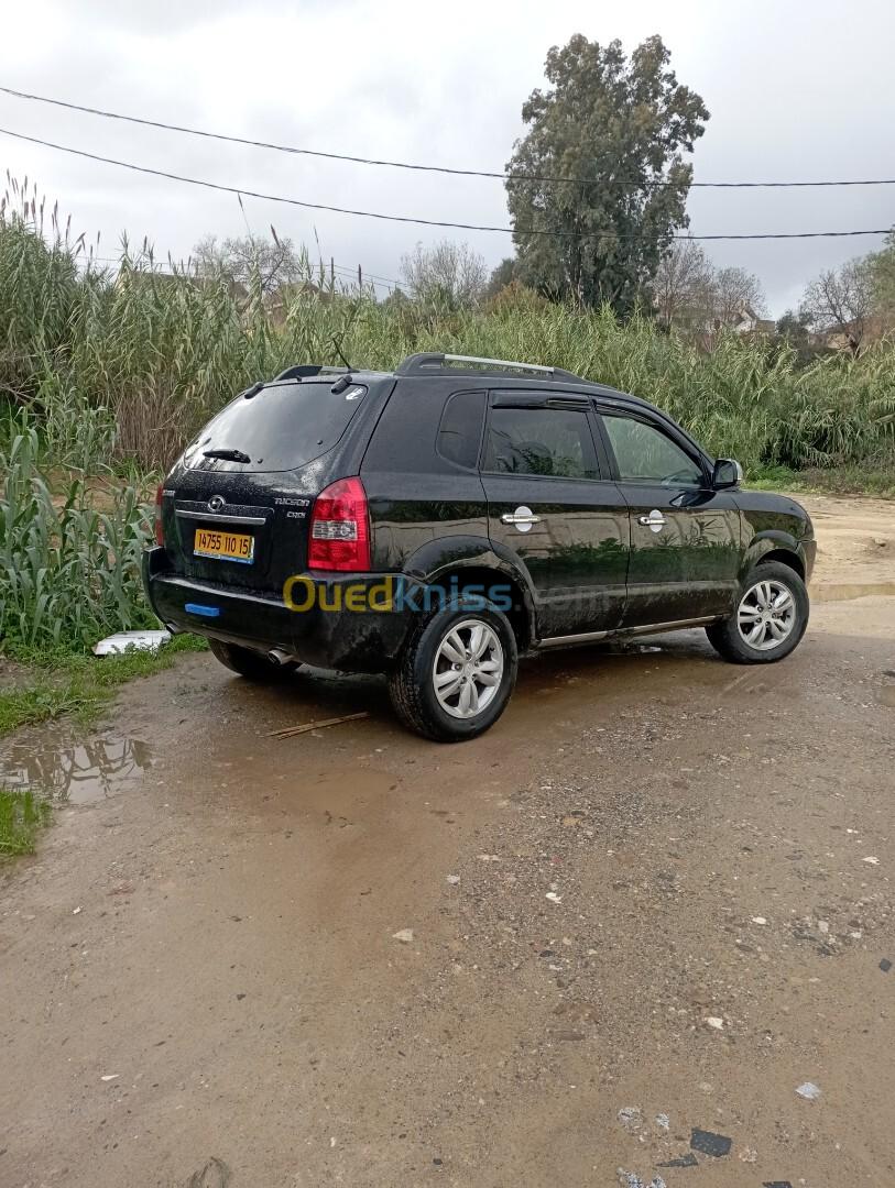 Hyundai Tucson 2010 Tucson