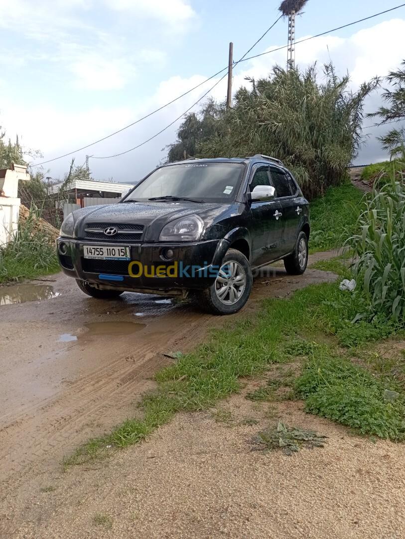 Hyundai Tucson 2010 Tucson