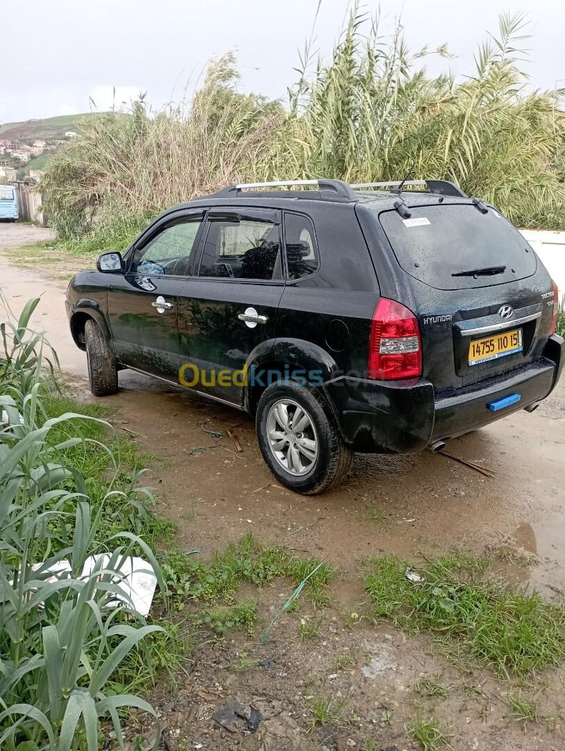 Hyundai Tucson 2010 Tucson