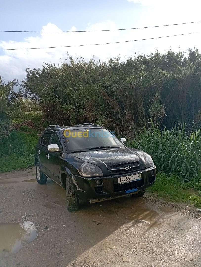 Hyundai Tucson 2010 Tucson