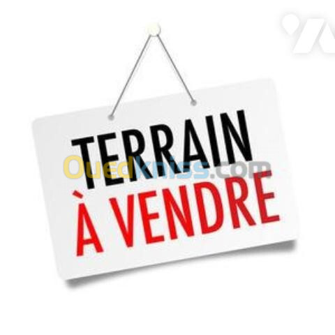 Vente Terrain Alger Birkhadem