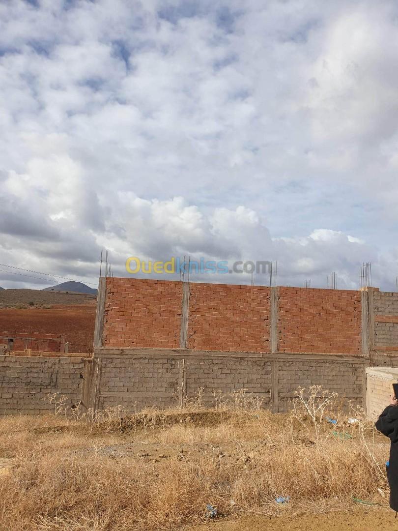 Vente Terrain Tlemcen Fellaoucene