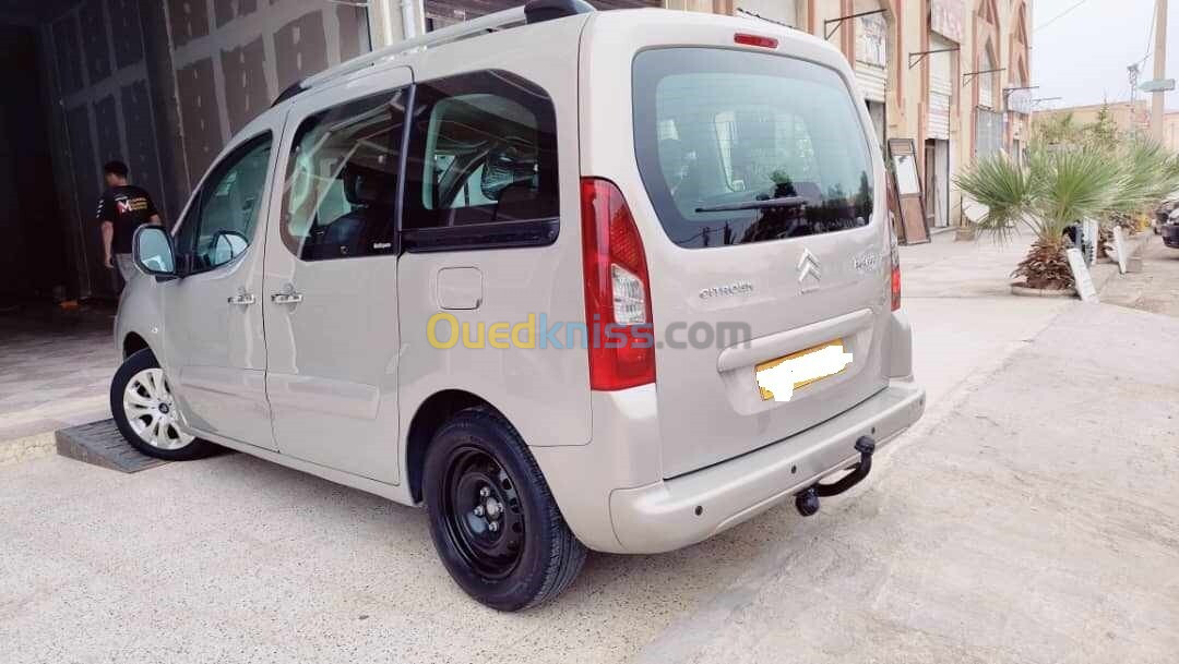 Citroen Berlingo 2008 Berlingo