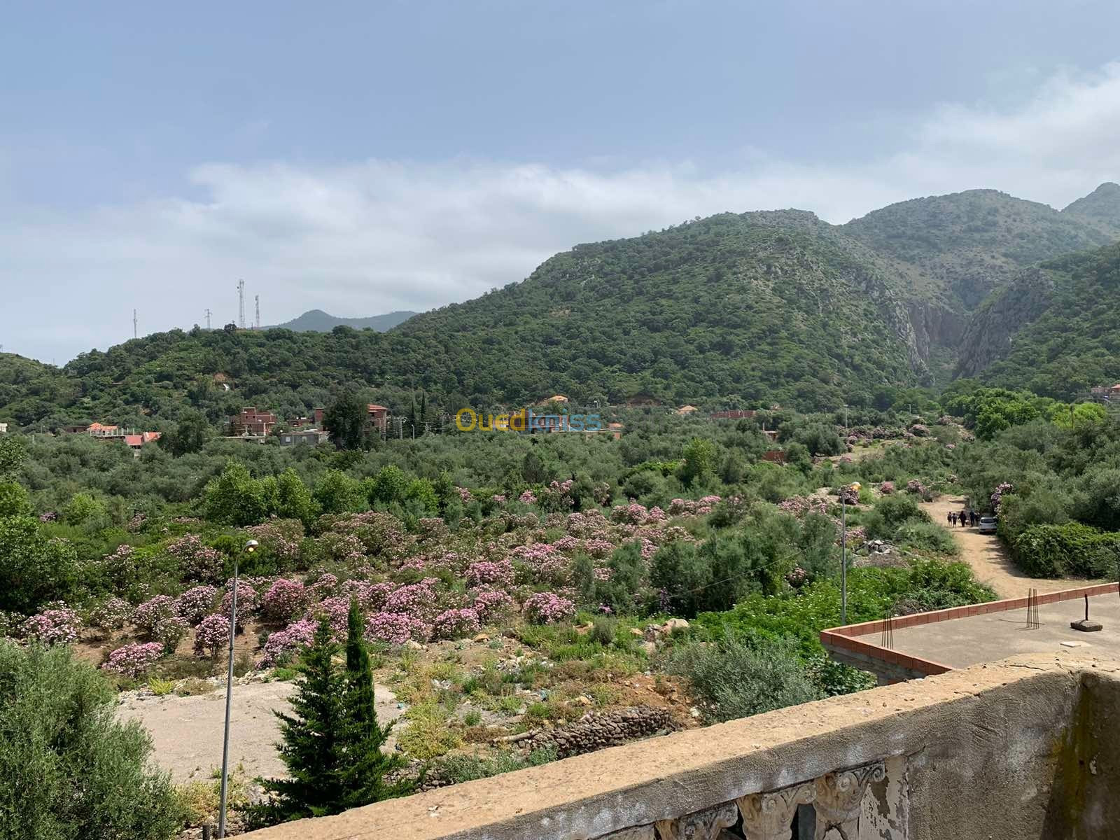 Location Niveau De Villa F2 Jijel Ziama mansouriah