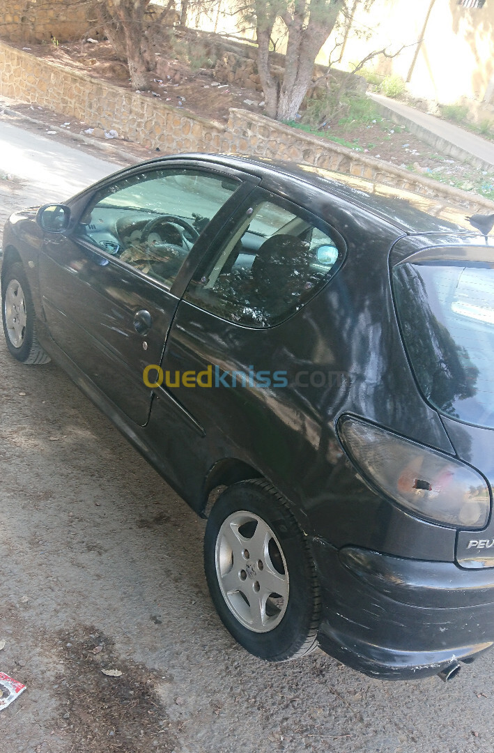 Peugeot 206 2005 206 XS 2 Portes