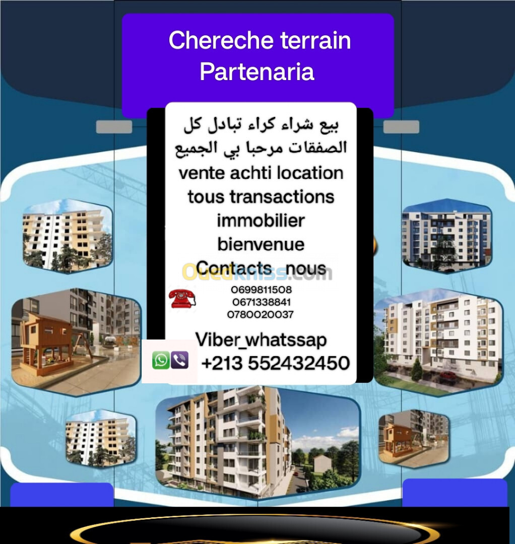 Cherche achat Terrain Tlemcen Tlemcen