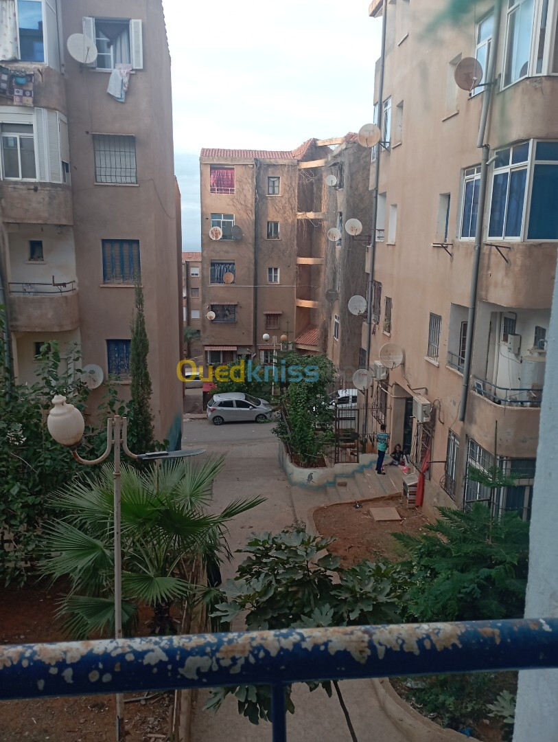 Vente Appartement F3 Tipaza Tipaza