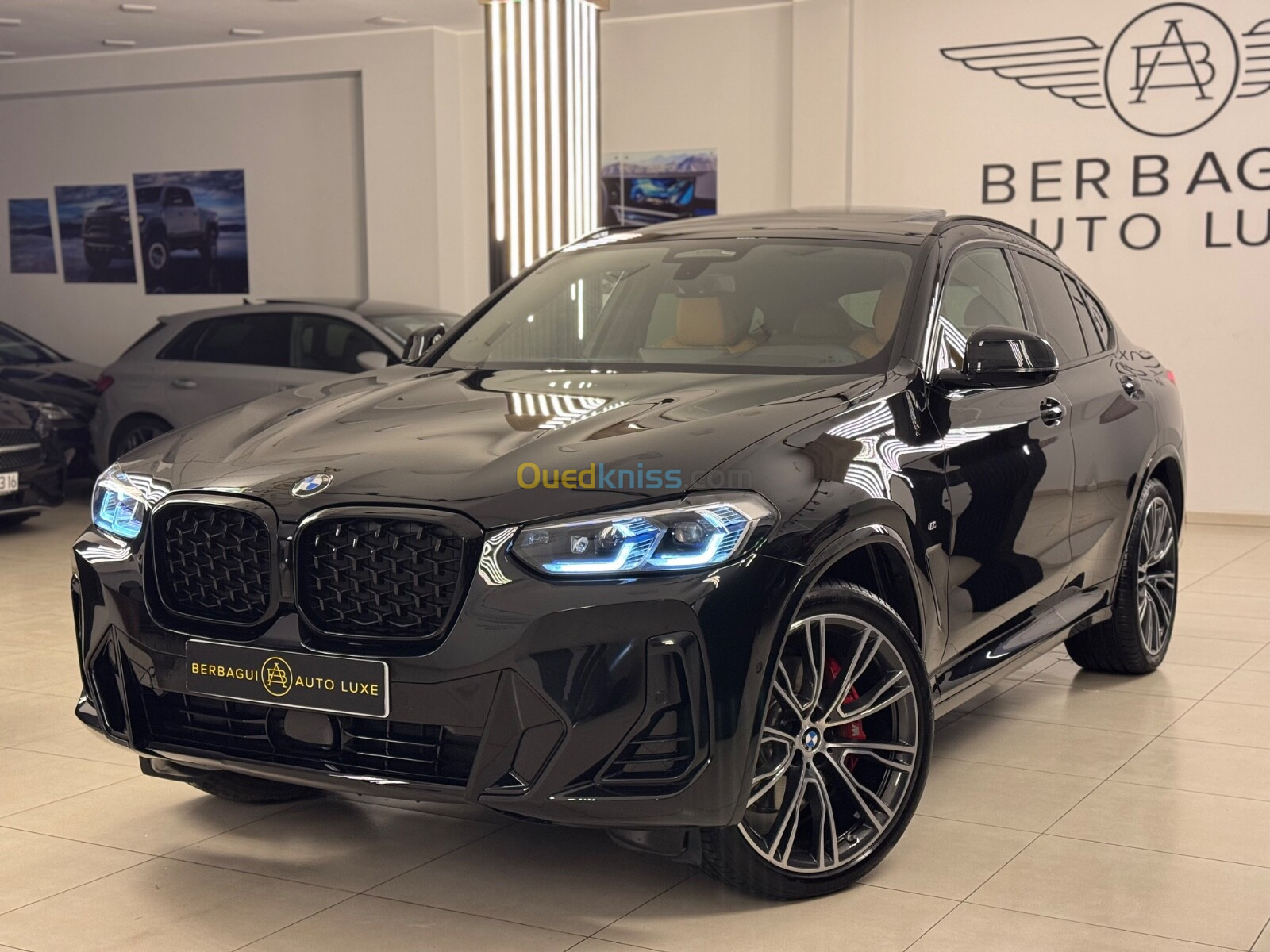 BMW X4 2024 Xdrive 20d