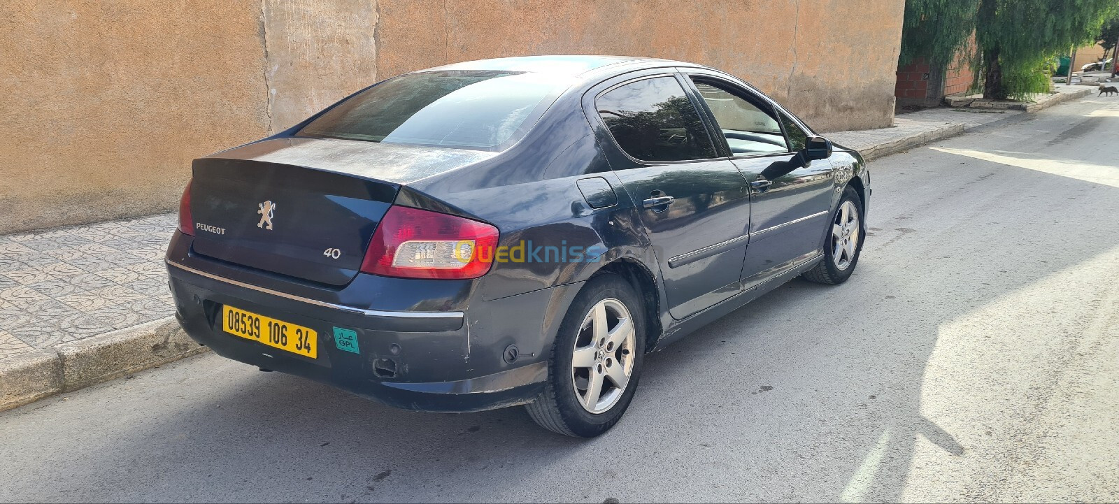 Peugeot 407 2006 407