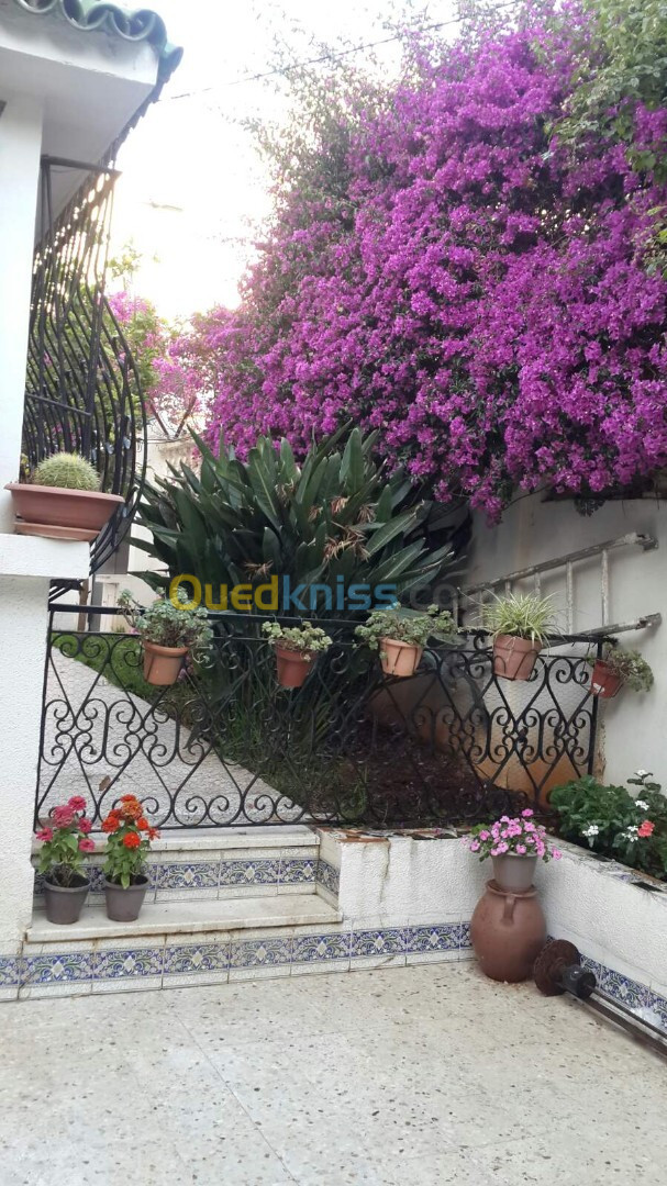 Location Appartement F3 Alger Hydra