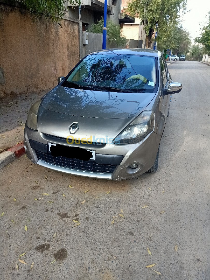 Renault Clio 3 2010 Exception