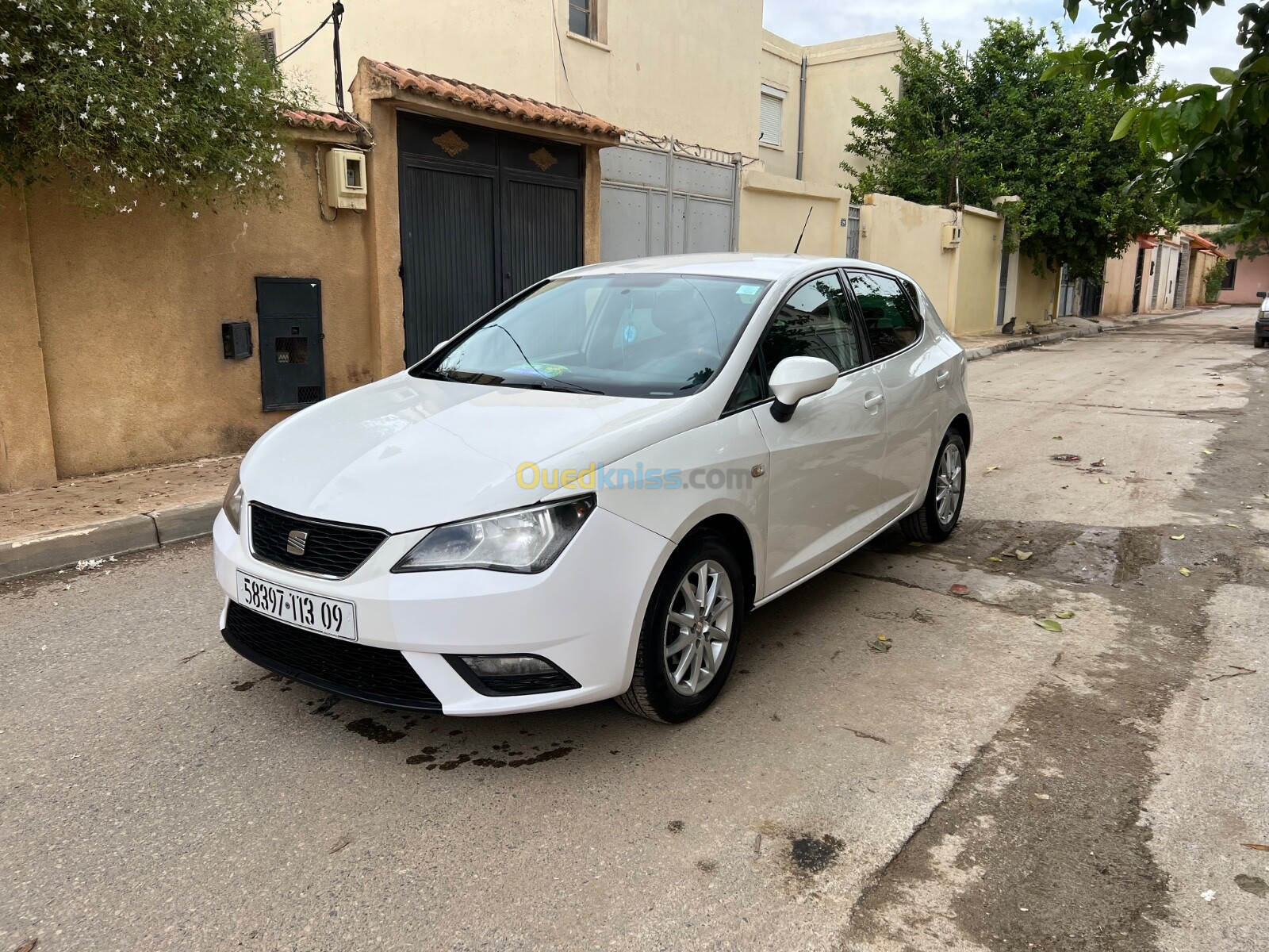 Seat Ibiza 2013 Fully