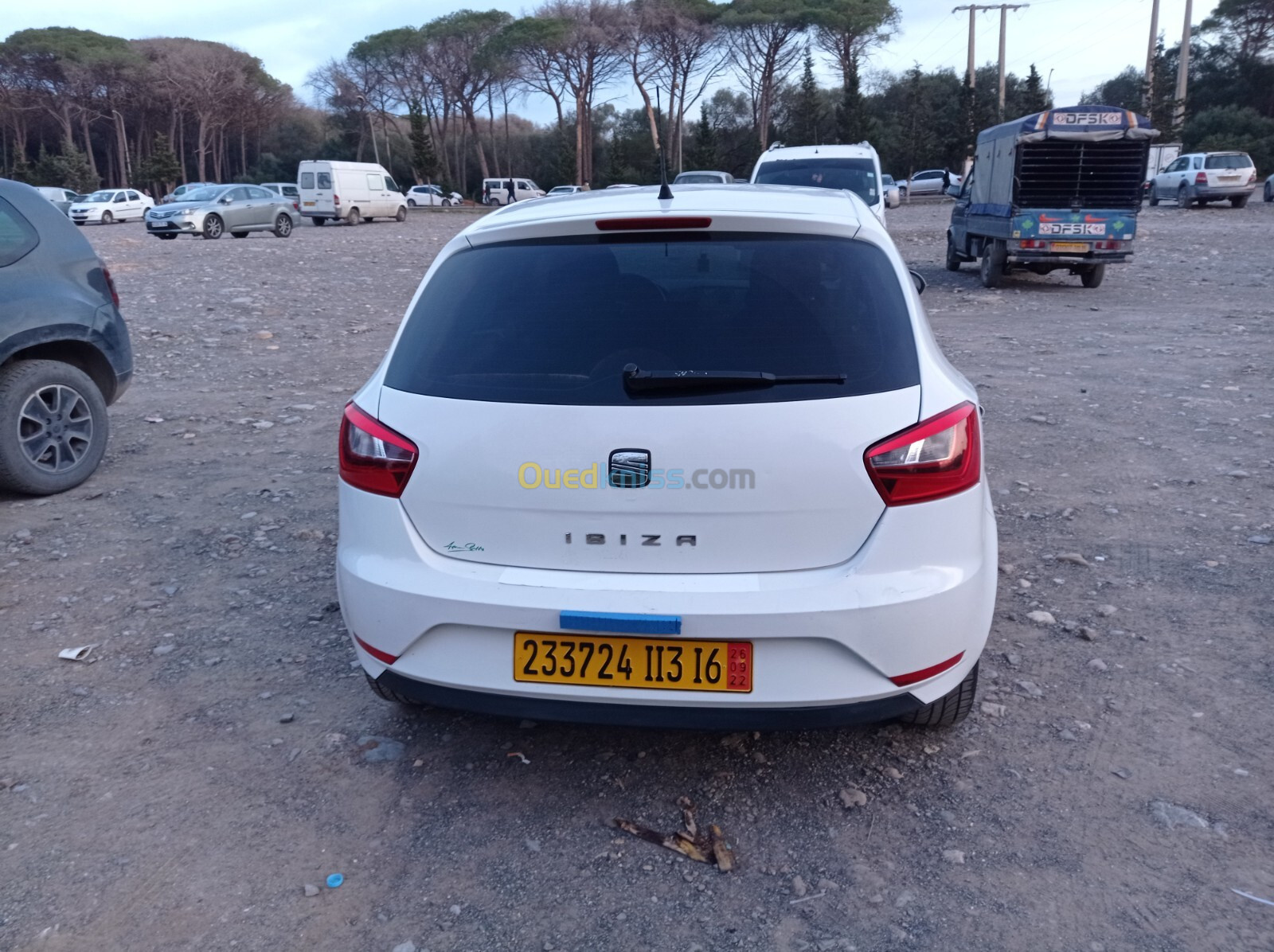 Seat Ibiza 2013 Fully