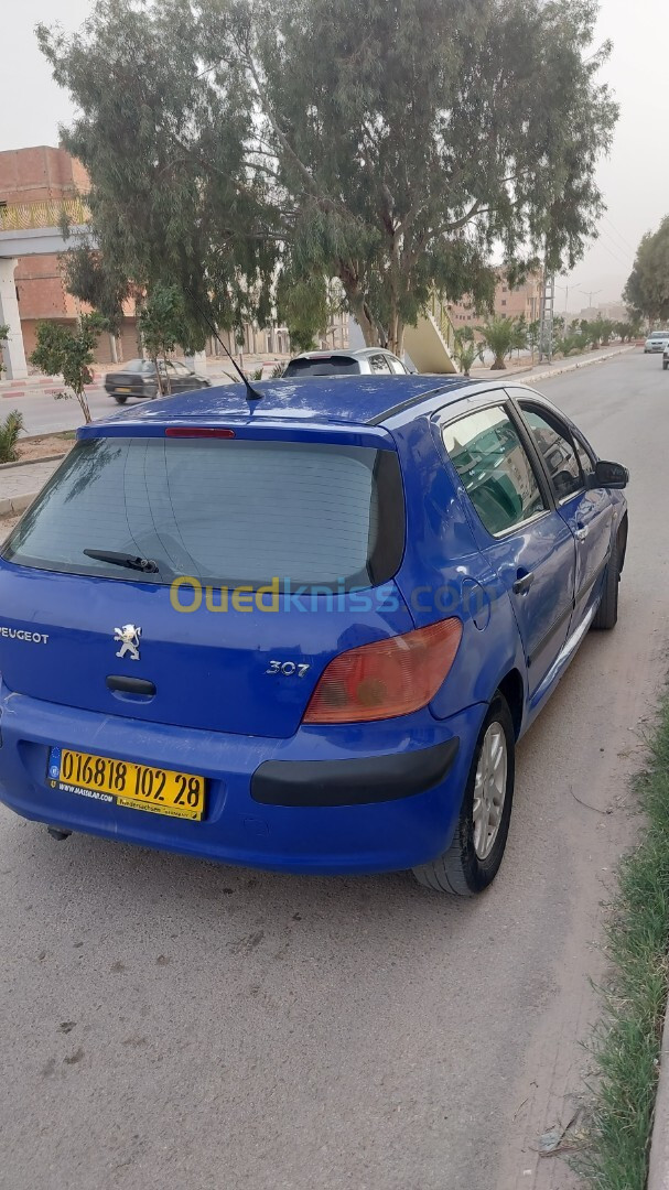 Peugeot 307 2002 