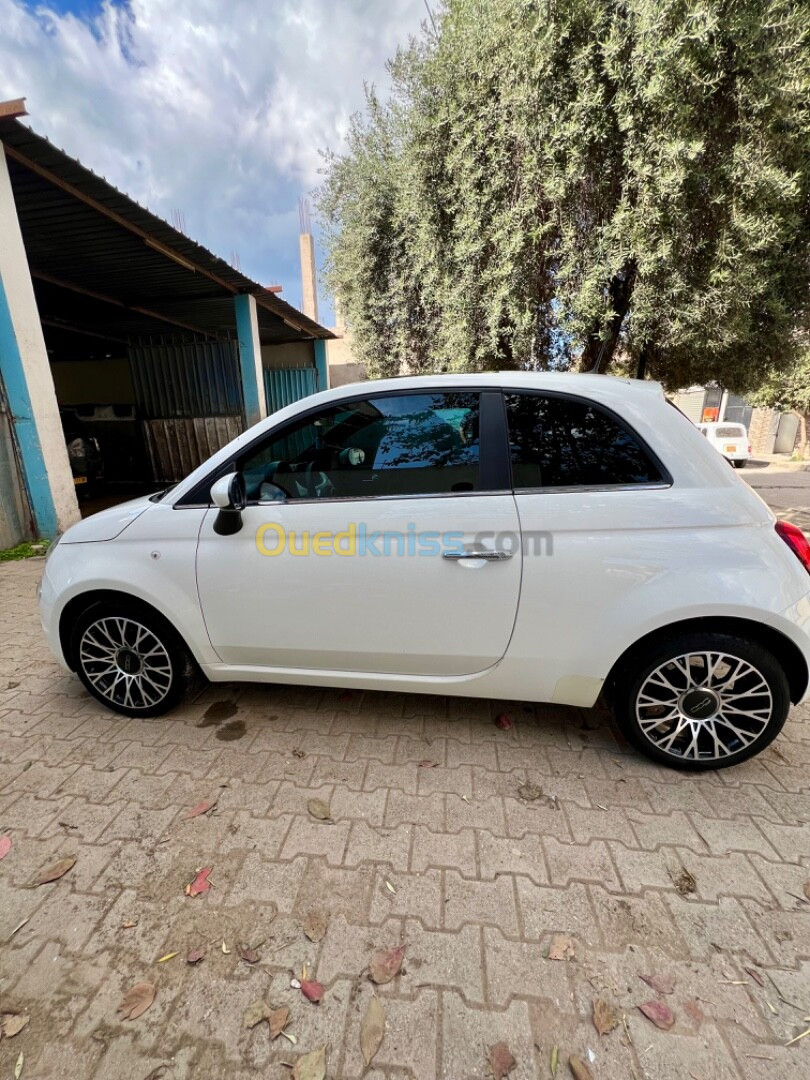 Fiat Fiat 500 2024 Delcvita