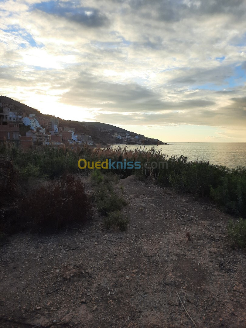 Vente Terrain Tipaza Tipaza