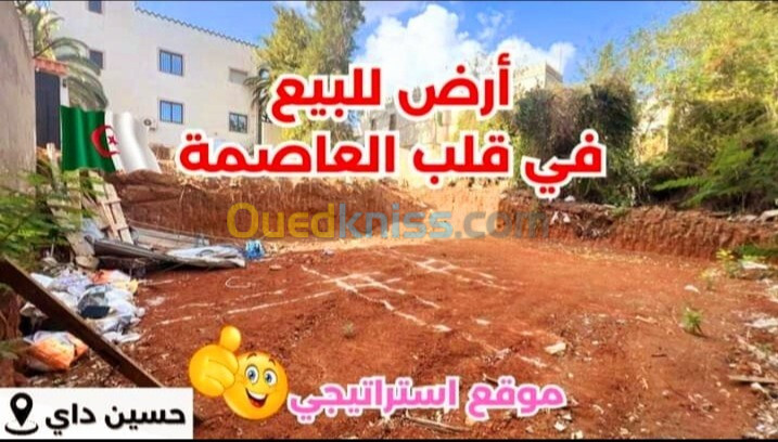 Vente Terrain Alger Hussein dey