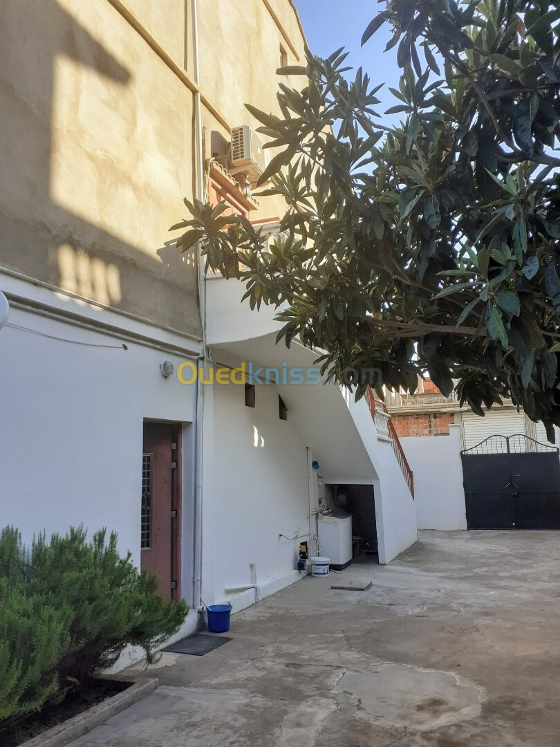 Vente Villa El Tarf Ain el assel