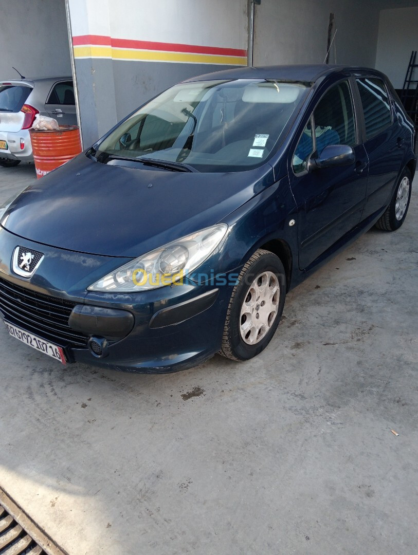 Peugeot 307 2007 XT