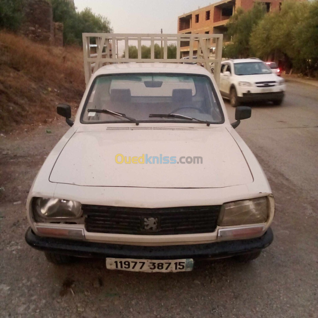 Peugeot 504 1987 